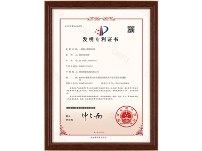 發(fā)明專(zhuān)利（4）